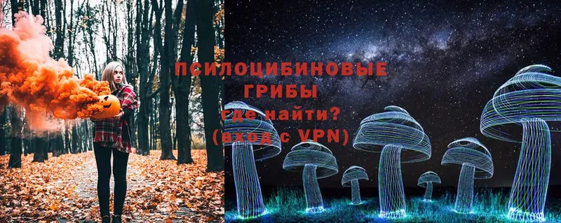 Галлюциногенные грибы Psilocybe  OMG как войти  Владикавказ 